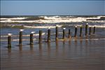 Padre Island National Seashore