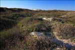 Padre Island National Seashore