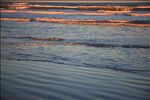 Padre Island National Seashore