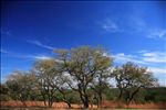 Pedernales State Park