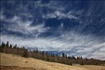 Pike National Forest