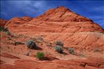 Paria Canyon-Vermillion Cliffs Wilderness