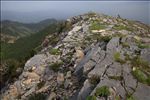 Elkhorn Peak