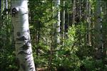 Rocky Mountain National Park