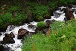 North Fork Little Laramie River