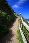 Siuslaw National Forest