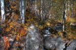 Rocky Mountain National Park