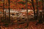 Pemigewasset River