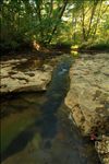 2Beaver Creek Wilderness