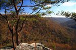 Grundy Forest State Natural Area