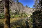 Chattooga River