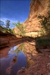 Horseshoe Canyon