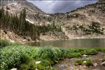 Colorado State Forest