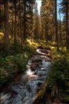 Grand Teton National Park