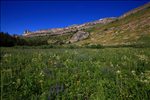 Grand Teton National Park