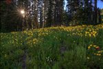 Grand Teton National Park