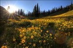 Grand Teton National Park