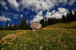 Grand Teton National Park