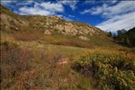 Roosevelt National Forest