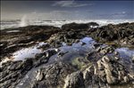 Cape Perpetua