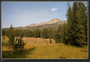 Bridger-Teton National Forest, Wyoming