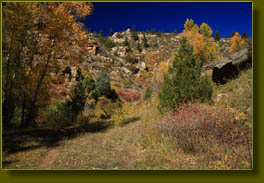 Fall color in Trail Gulch