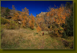 Makenzie jogs the trail at Trail Gulch
