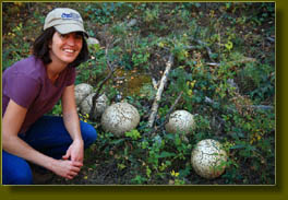 Andra checks out the giant puffballs in Trail Gulch