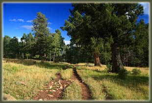 Pecos Wilderness backpacking trip