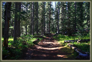 Pecos Wilderness backpacking trip