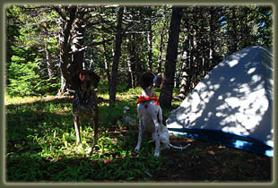 Pecos Wilderness backpacking trip