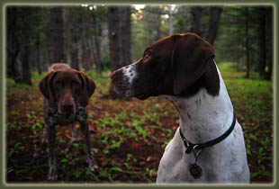 Pecos Wilderness backpacking trip