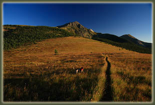 Pecos Wilderness backpacking trip