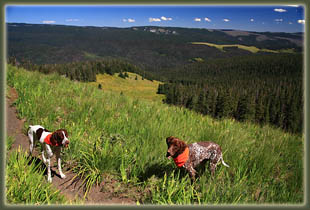 Pecos Wilderness backpacking trip