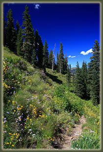 Pecos Wilderness backpacking trip