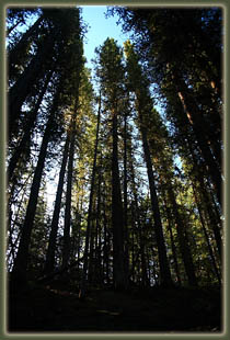 Pecos Wilderness backpacking trip