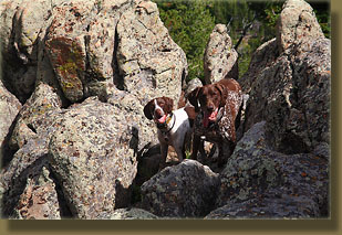 Makenzie and Henry are stymied by the tough terrain near the summit