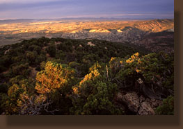 Vermillion Basin