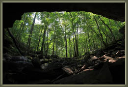 Virgin Falls State Natural Area, Tennessee