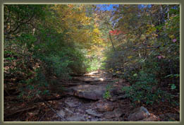 Virgin Falls State Natural Area, Tennessee