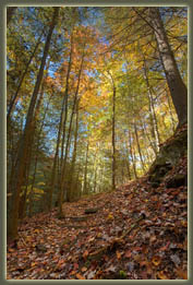 Virgin Falls State Natural Area, Tennessee