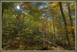 Virgin Falls State Natural Area, Tennessee