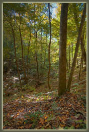 Virgin Falls State Natural Area, Tennessee