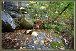 Virgin Falls State Natural Area, Tennessee