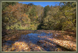 Virgin Falls State Natural Area, Tennessee