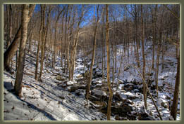 Virgin Falls State Natural Area, Tennessee