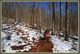 Virgin Falls State Natural Area, Tennessee