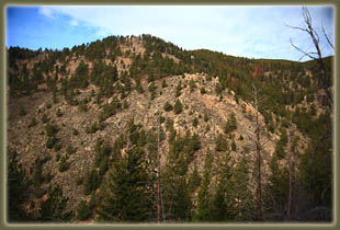 Washout Gulch, Roosevelt National Forest, Colorado