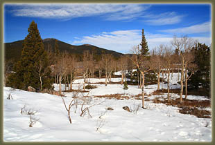 Washout Gulch, Roosevelt National Forest, Colorado