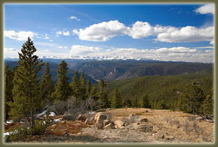 Washout Gulch, Roosevelt National Forest, Colorado